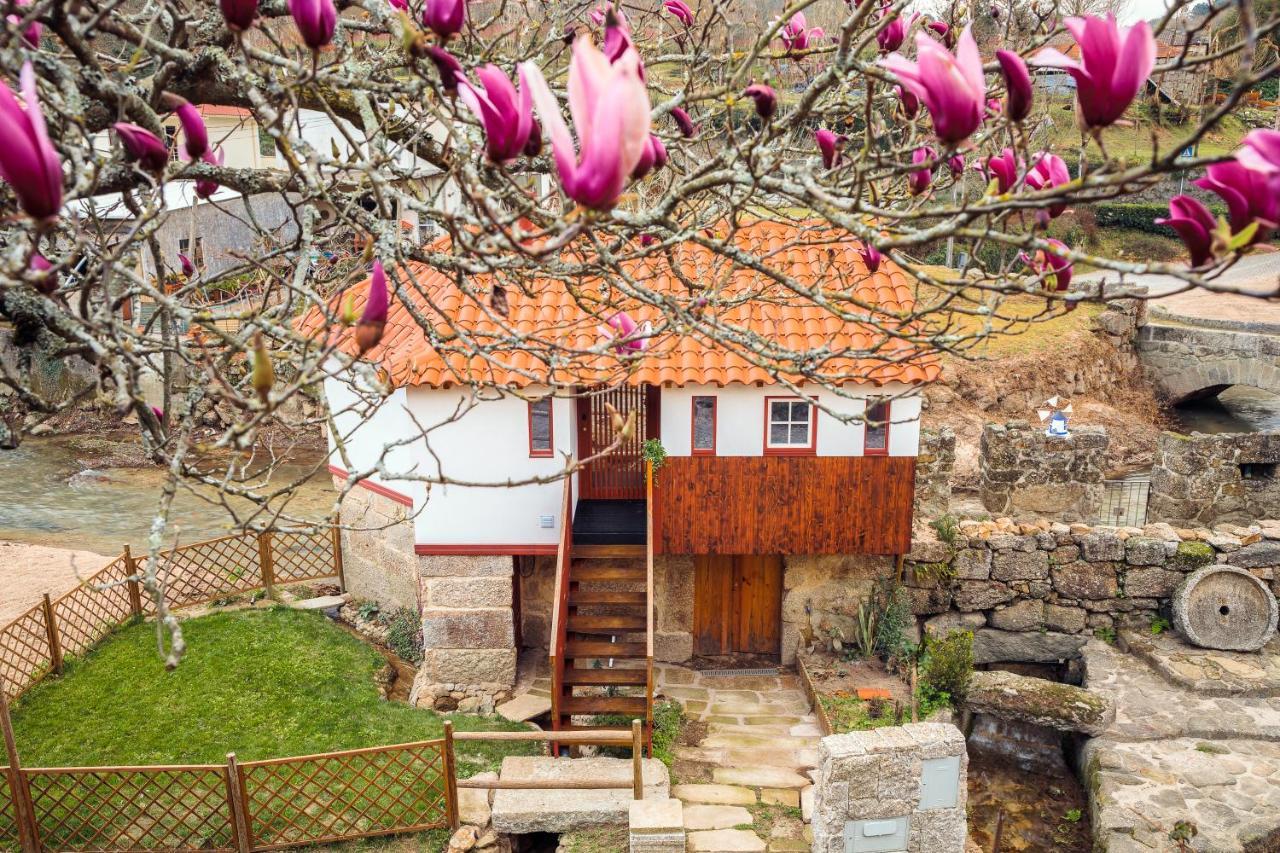 Refugio House Natura Moinho De Agua - Eco House Guimarães Exteriör bild